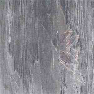 The Infant Cycle - Ephedrin Bird Samba FLAC