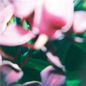 Trade Wind  - You Make Everything Disappear FLAC