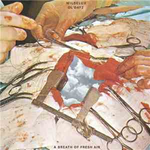 Wildelux - A Breath of Fresh Air FLAC