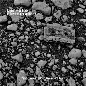 Cervello Elettronico - Process Of Elimination FLAC