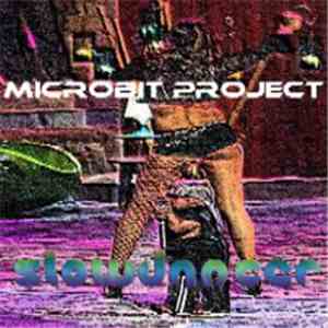 MicRobit Project - Slowdancer FLAC