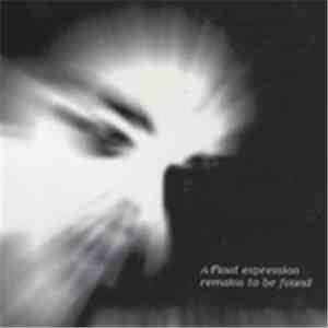 Picturesque - A Final Expression Remains To Be Found FLAC