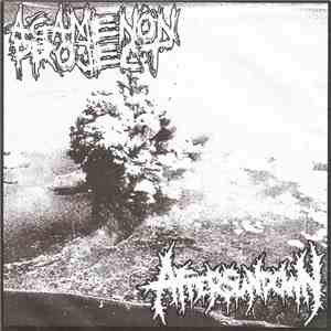 Agamenon Project / Aftersundown - Agamenon Project / Aftersundown FLAC
