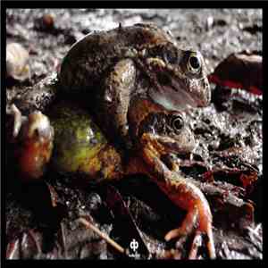 Dave Phillips - Frogs Rain FLAC