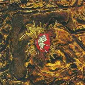 dEUS - Worst Case Scenario FLAC
