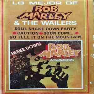 Bob Marley & The Wailers - Shake Down FLAC