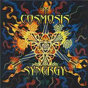 Cosmosis - Synergy FLAC