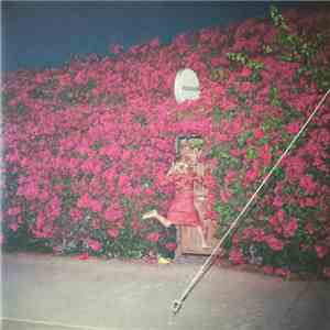 Feist - Pleasure FLAC