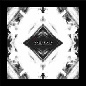 Forest Floor - Gone Elsewhere to Find the Strength FLAC
