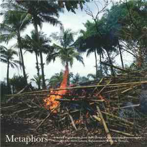 Various - Metaphors: Selected Soundworks From The Cinema Of Apichatpong Weerasethakul FLAC