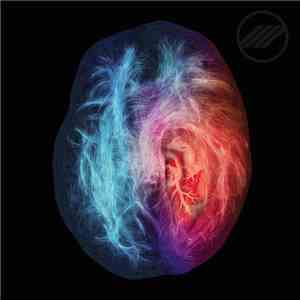 Rare Futures - This Is Your Brain On Love FLAC