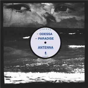 Antenna  - Odessa FLAC