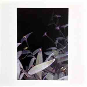 Kostis Kilymis - Crystal Drops / Ground Loops (A Line, Obscured) FLAC