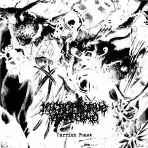 Nicrophorus Vespillo - Carrion Feast FLAC