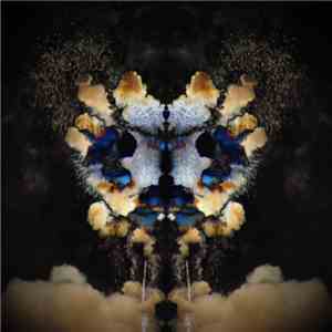 Rowan Box - Night FLAC