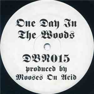 Mooses On Acid - One Day In The Woods FLAC