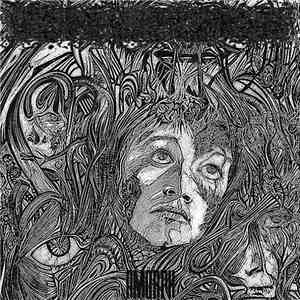 senselessness - Amorph FLAC