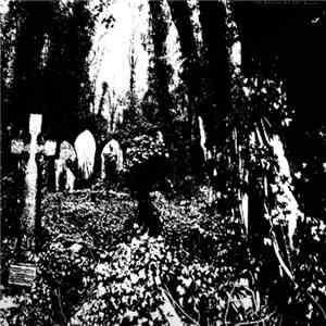 Ivy Garden Of The Desert - Docile FLAC