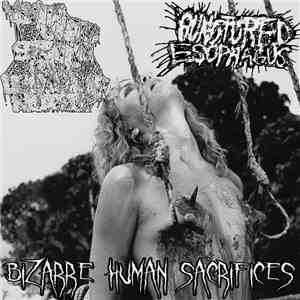 VxUxSxPxLxNx / Punctured Esophagus - Bizarre Hunan Sacrifices FLAC
