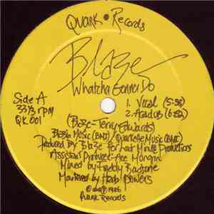 Blaze - Whatcha Gonna Do FLAC