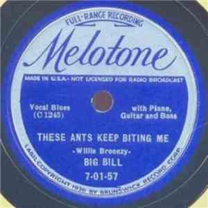 Big Bill - These Ants Keep Biting Me / Black Mare Blues FLAC
