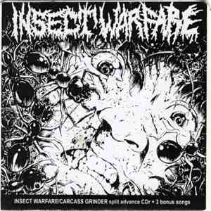 Insect Warfare - Insect Warfare/Carcass Grinder Split Advance CDr + 3 Bonus Songs FLAC