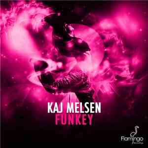 Kaj Melsen - Funkey FLAC