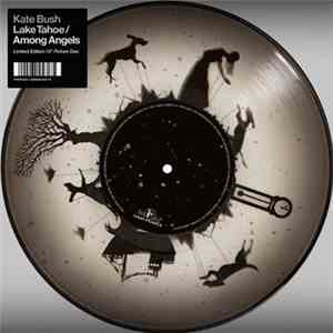 Kate Bush - Lake Tahoe / Among Angels FLAC
