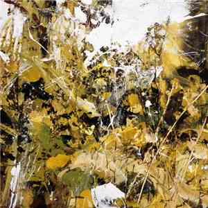 Tiny Leaves - Notes On Belonging FLAC