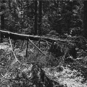 Void Forger - Ruined Demo FLAC