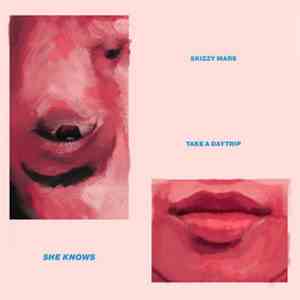 Take A Daytrip, Skizzy Mars - She Knows FLAC