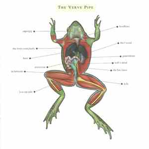 The Verve Pipe - The Verve Pipe FLAC