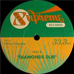Various - Tangoterje Edits FLAC