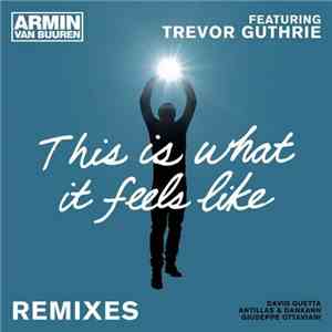 Armin van Buuren Featuring Trevor Guthrie - This Is What It Feels Like (Remixes) FLAC