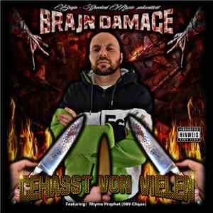 Brajn Damage - Gehasst Von Vielen FLAC