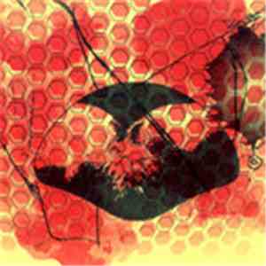Various - Lurking In The Shadows FLAC