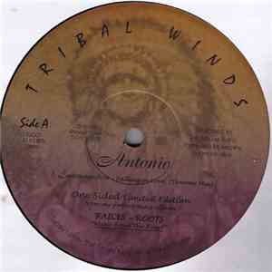Antonio - Enamorandose - Falling In Love FLAC