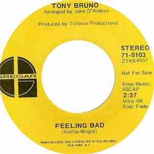 Tony Bruno  - I've Got Enough Heartaches FLAC