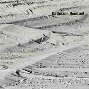 Marcel Dettmann - Dettmann Remixed FLAC