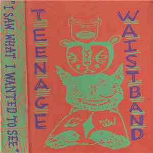 Teenage Waistband - I Saw What I Wanted To See FLAC