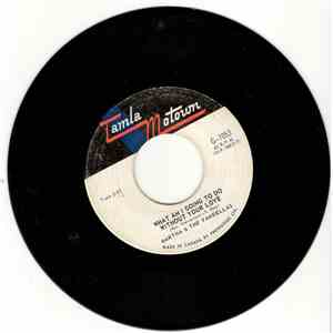 Martha & The Vandellas - What Am I Going To Do Without Your Love FLAC