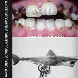 Sindre Bjerga, Terje Paulsen, Roadside Picnic - Jawed / Flawed FLAC