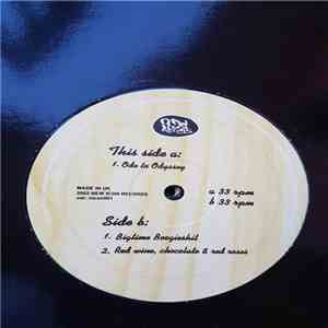 The Shaftesbury Sisters - Bigtime Boogieshit FLAC