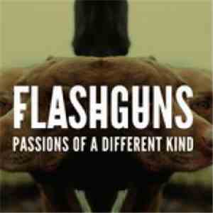 Flashguns - Passions Of A Different Kind FLAC