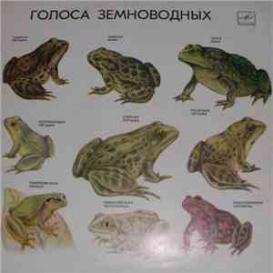No Artist - Голоса Земноводных FLAC