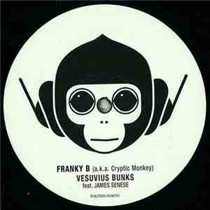Franky B aka Cryptic Monkey - Vesuvius Bunks FLAC