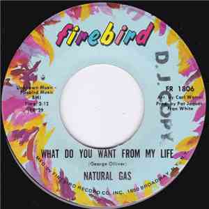 Natural Gas  - What Do You Want From My Life / The All Powerful Man FLAC