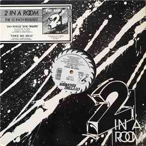 2 In A Room - Do What You Want / Take Me Away FLAC