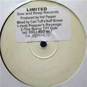 Hot Pepper & D.I.Y. - Hot Peppers Revenge (Remix) / The Bump FLAC