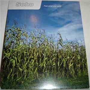 Soho  - Feel What You Want FLAC